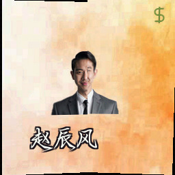 赵辰风